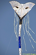 32 FESTIVAL CERVIA 2012 - 239
